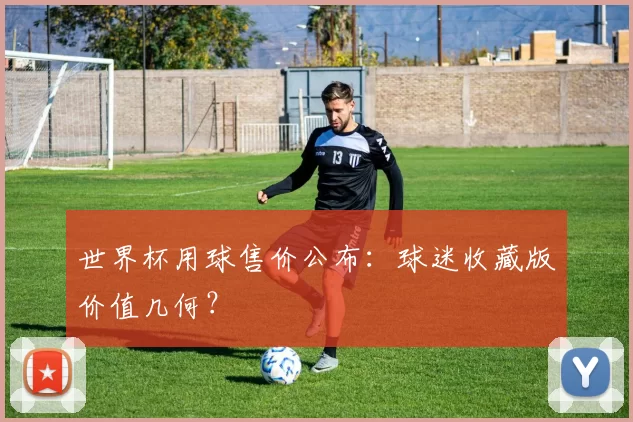 世界杯用球售价公布：球迷收藏版价值几何？