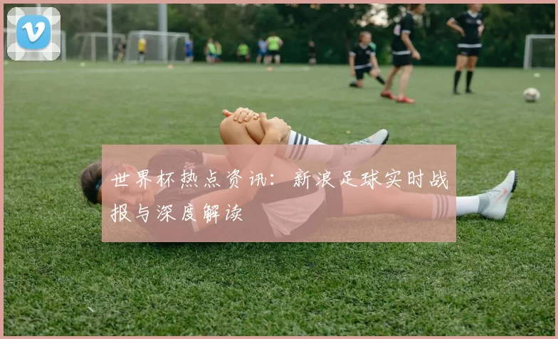 世界杯热点资讯:新浪足球实时战报与深度解读