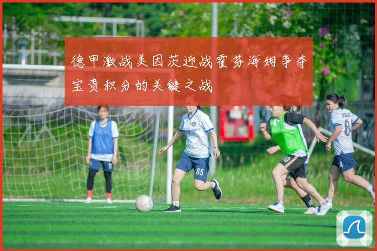 德甲激战美因茨迎战霍芬海姆争夺宝贵积分的关键之战