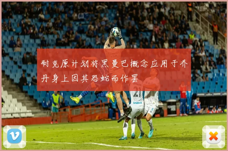 耐克原计划将黑曼巴概念应用于乔丹身上因其恐蛇而作罢