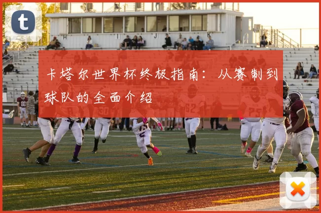 卡塔尔世界杯终极指南：从赛制到球队的全面介绍