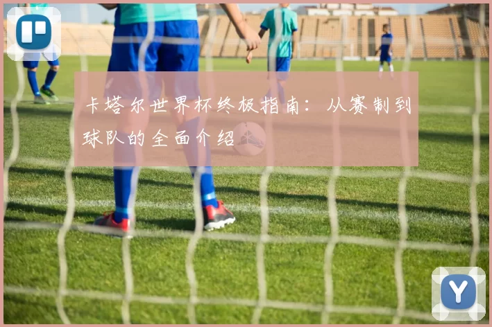 卡塔尔世界杯终极指南：从赛制到球队的全面介绍