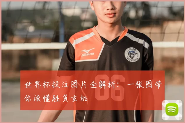 世界杯投注图片全解析：一张图带你读懂胜负玄机