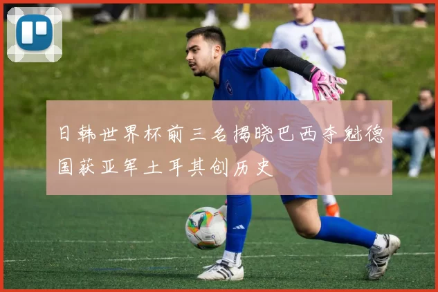 日韩世界杯前三名揭晓巴西夺魁德国获亚军土耳其创历史
