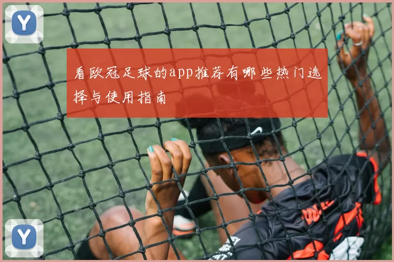 看欧冠足球的app推荐有哪些热门选择与使用指南