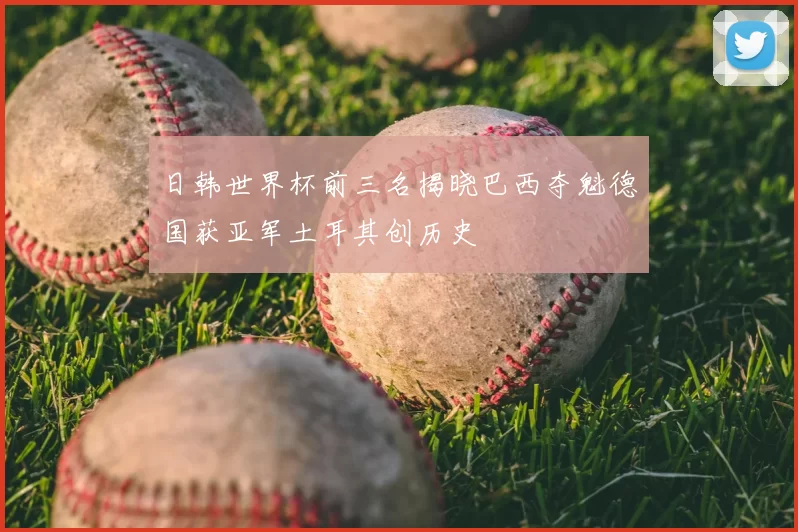 日韩世界杯前三名揭晓巴西夺魁德国获亚军土耳其创历史