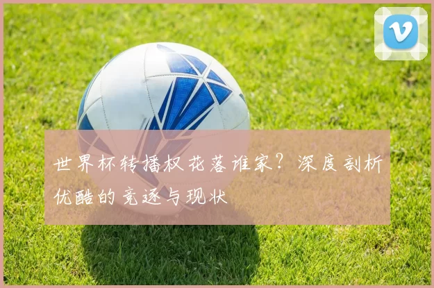 世界杯转播权花落谁家？深度剖析优酷的竞逐与现状