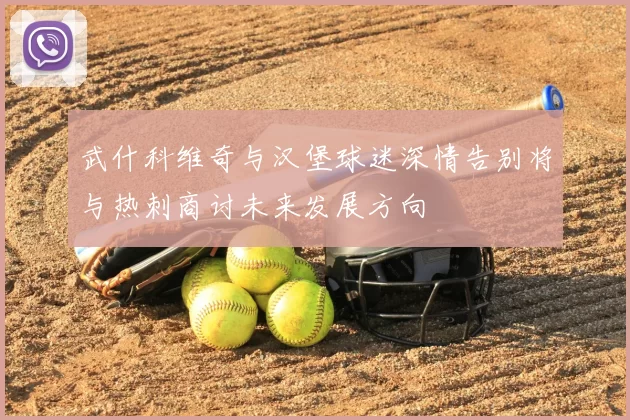 武什科维奇与汉堡球迷深情告别将与热刺商讨未来发展方向
