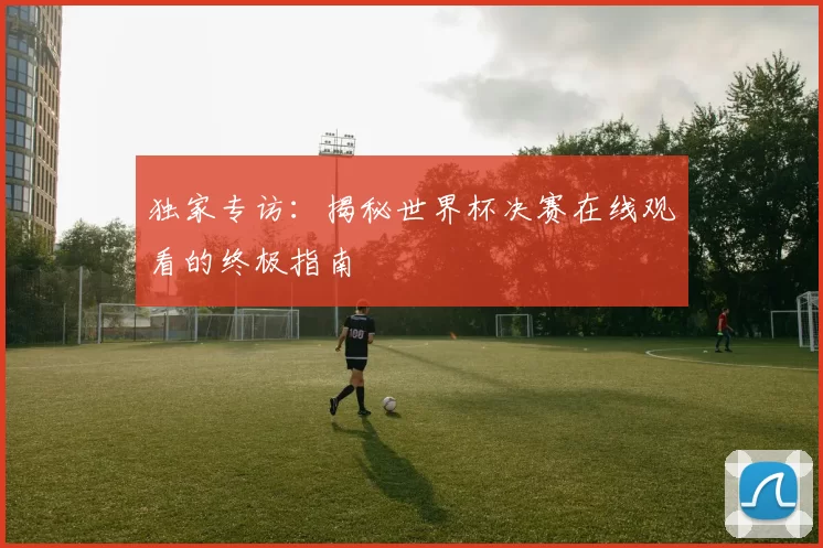 独家专访:揭秘世界杯决赛在线观看的终极指南