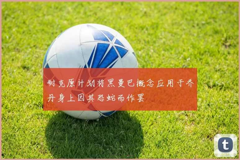 耐克原计划将黑曼巴概念应用于乔丹身上因其恐蛇而作罢
